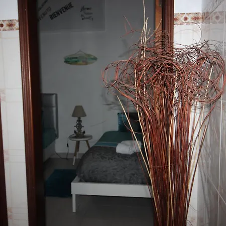 Flor T1 * Ναζαρέ